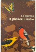 Z puszcz i lasów