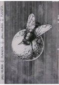 Planeta