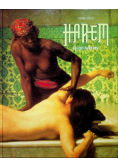 Harlem i jego sekrety