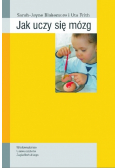 Jak uczy się mózg