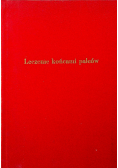 Leczenie końcami palców Shiatsu