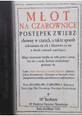 Młot na czarownice