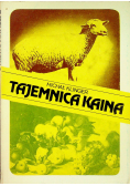 Tajemnica Kaina