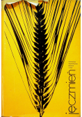 Jęczmień
