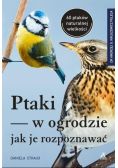 Ptaki w ogrodzie jak je rozpoznawać