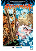 DC Odrodzenie Aquaman Tom 1 Utonięcie