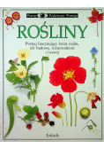 Rośliny