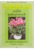 Energia roślin pokojowych