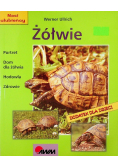 Żółwie