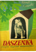 Daszeńka czyli żywot szczeniaka