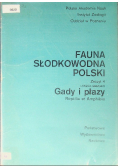 Fauna słodkowodna Polski Gady i płazy
