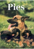 Encyklopedia Pies