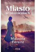 Miasto w płomieniach