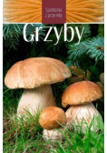 Spotkania z przyrodą Grzyby