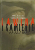 Lawina i kamienie