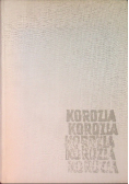Korozja i tworzywa konstrukcyjne