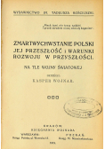 Zmartwychwstanie Polski jej przeszłość i warunki rozwoju w przyszłości na tle wojny światowej 1919 r