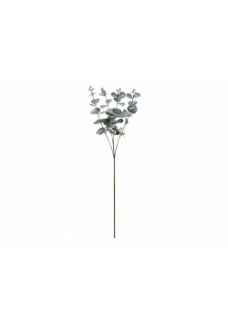 Gałązka Eukaliptus 60cm