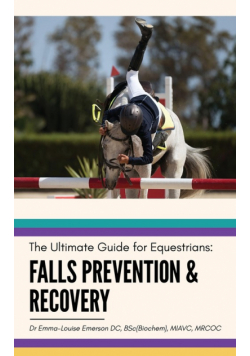 Falls Prevention and Recovery