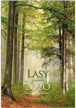 Kalendarz 2020 Reklamowy Lasy Polskie RW05