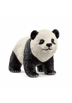 Młoda Panda Wielka