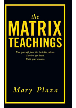 The Matrix Teachings