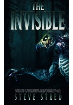 The Invisible