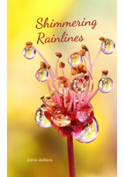 Shimmering Rainlines