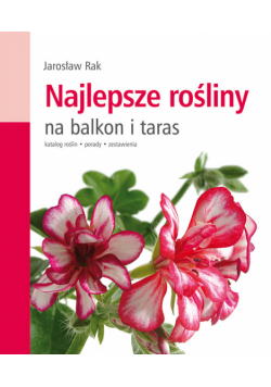 Najlepsze rośliny na balkon i taras