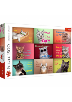 Puzzle Zabawne kocie portrety 1500