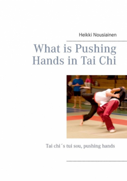 What is Pushing Hands in Tai Chi
