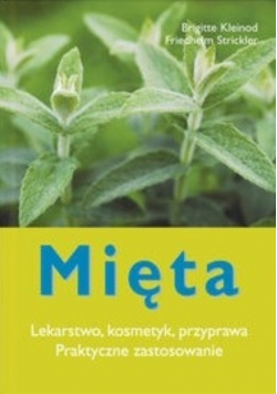 Mięta Lekarstwo kosmetyk przyprawa Praktyczne zastosowanie