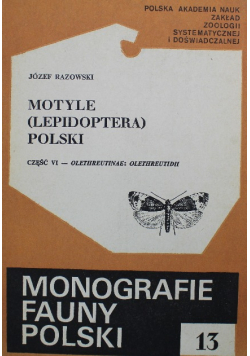 Motyle Lepidoptera Polski