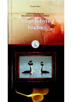 Nieprzebyte bagna