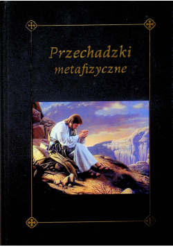 Przechadzki metafizyczne
