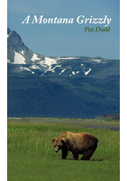 A Montana Grizzly