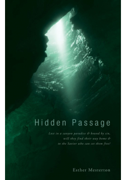 Hidden Passage