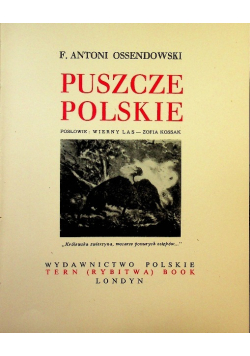 Puszcze Polskie