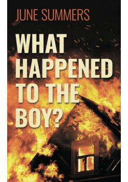 What Happened to the Boy?