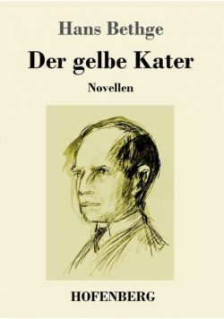 Der gelbe Kater