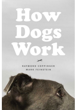 How Dogs Work