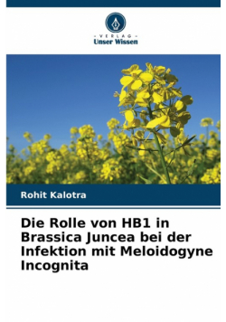 Die Rolle von HB1 in Brassica Juncea bei der Infektion mit Meloidogyne Incognita