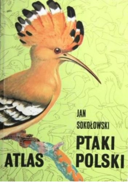 Ptak polski