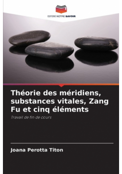 Théorie des méridiens, substances vitales, Zang Fu et cinq éléments