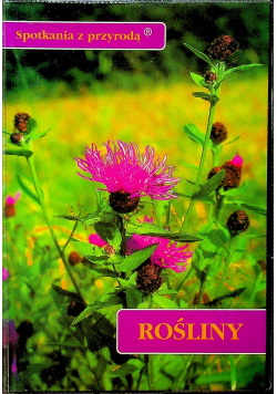 Rośliny