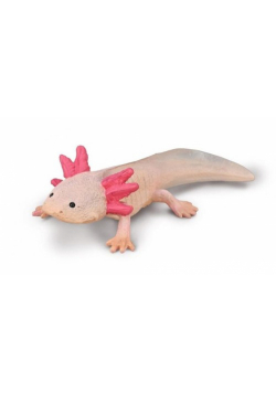 Axolotl