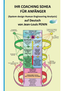 Ihr Coaching Sdhea Für Anfänger
