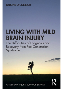 Living with Mild Brain Injury