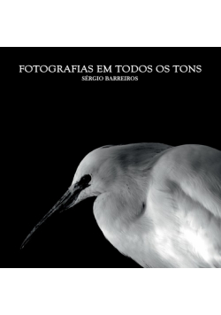 Fotografias Em Todos Os Tons