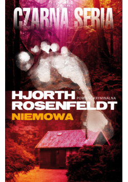 Sebastian Bergman (tom 4). Niemowa
